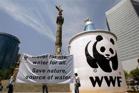 is the world wildlife fund a nonprofit organization|WWF Overview – World Wildlife Fund.